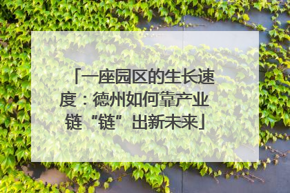一座园区的生长速度：德州如何靠产业链“链”出新未来