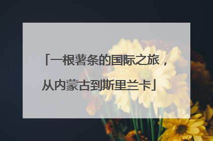 一根薯条的国际之旅，从内蒙古到斯里兰卡