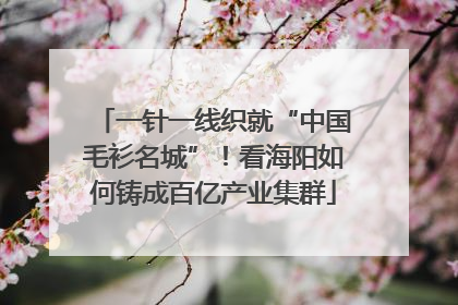 一针一线织就“中国毛衫名城”！看海阳如何铸成百亿产业集群