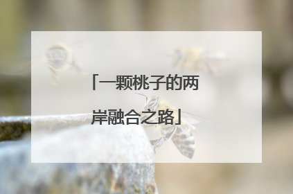一颗桃子的两岸融合之路