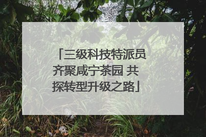 三级科技特派员齐聚咸宁茶园 共探转型升级之路