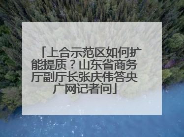 上合示范区如何扩能提质？山东省商务厅副厅长张庆伟答央广网记者问