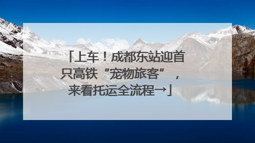 上车！成都东站迎首只高铁“宠物旅客”，来看托运全流程→