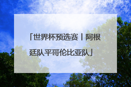 世界杯预选赛丨阿根廷队平哥伦比亚队
