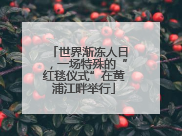 世界渐冻人日，一场特殊的“红毯仪式”在黄浦江畔举行