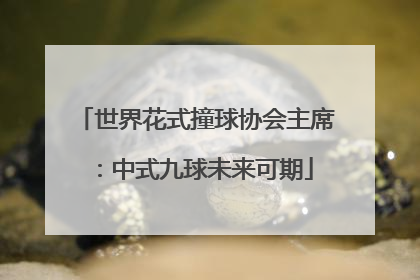 世界花式撞球协会主席：中式九球未来可期