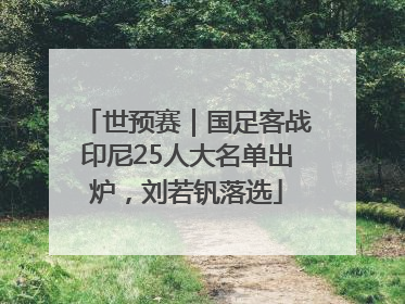 世预赛｜国足客战印尼25人大名单出炉，刘若钒落选