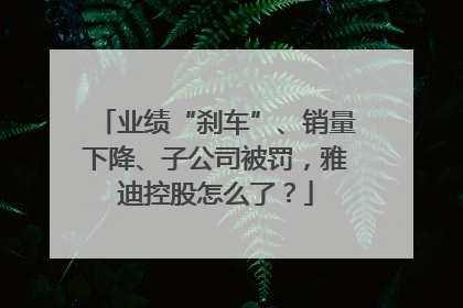 业绩“刹车”、销量下降、子公司被罚，雅迪控股怎么了？
