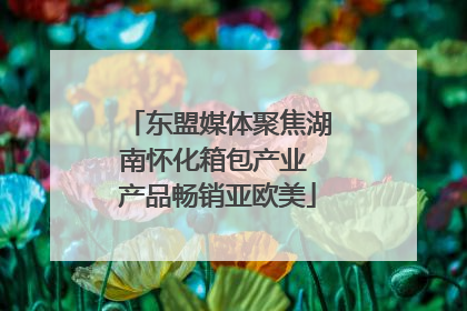 东盟媒体聚焦湖南怀化箱包产业 产品畅销亚欧美