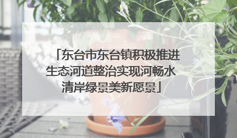 东台市东台镇积极推进生态河道整治实现河畅水清岸绿景美新愿景