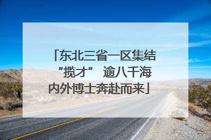 东北三省一区集结“揽才” 逾八千海内外博士奔赴而来