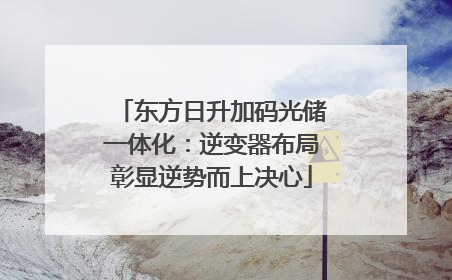 东方日升加码光储一体化：逆变器布局彰显逆势而上决心
