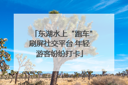 东湖水上“跑车”刷屏社交平台 年轻游客纷纷打卡