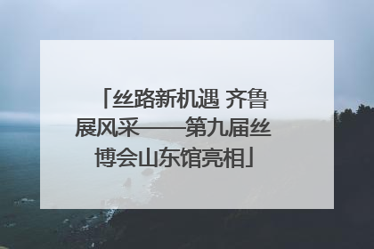 丝路新机遇 齐鲁展风采——第九届丝博会山东馆亮相