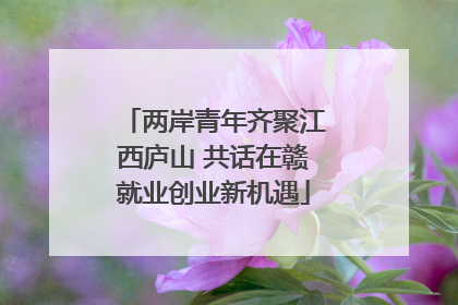 两岸青年齐聚江西庐山 共话在赣就业创业新机遇