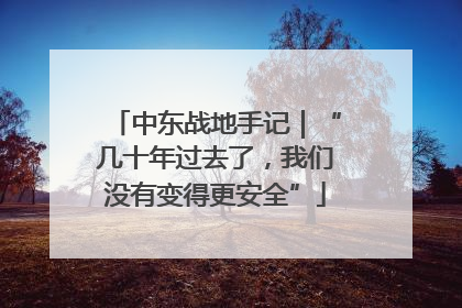 中东战地手记｜“几十年过去了，我们没有变得更安全”