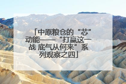 中原粮仓的“芯”动能——“打赢这一战 底气从何来”系列观察之四