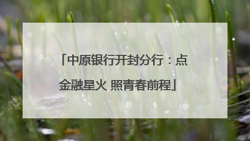 中原银行开封分行：点金融星火 照青春前程