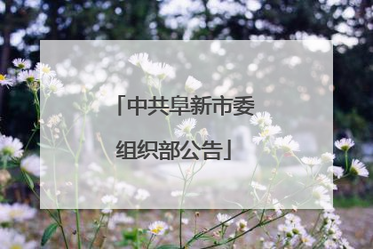 中共阜新市委组织部公告
