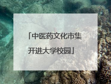 中医药文化市集开进大学校园