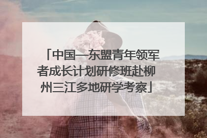 中国—东盟青年领军者成长计划研修班赴柳州三江多地研学考察