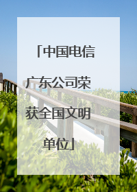 中国电信广东公司荣获全国文明单位