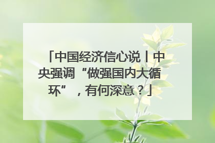 中国经济信心说丨中央强调“做强国内大循环”，有何深意？