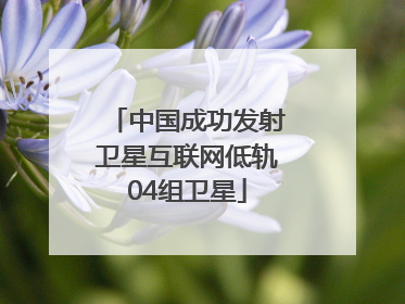 中国成功发射卫星互联网低轨04组卫星
