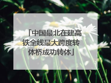 中国最北在建高铁全线最大跨度转体桥成功转体