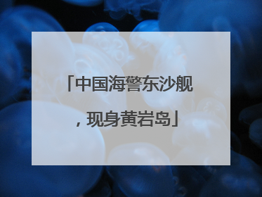 中国海警东沙舰，现身黄岩岛