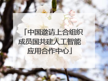 中国邀请上合组织成员国共建人工智能应用合作中心