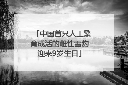 中国首只人工繁育成活的雌性雪豹迎来9岁生日