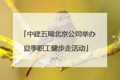 中建五局北京公司举办夏季职工健步走活动