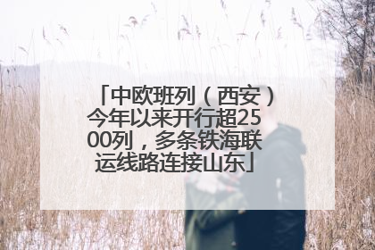 中欧班列（西安）今年以来开行超2500列，多条铁海联运线路连接山东