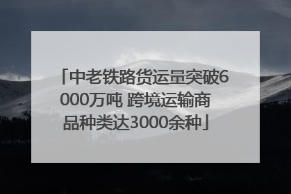 中老铁路货运量突破6000万吨 跨境运输商品种类达3000余种