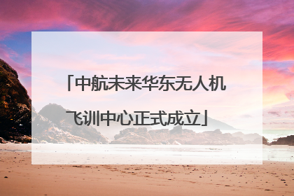 中航未来华东无人机飞训中心正式成立
