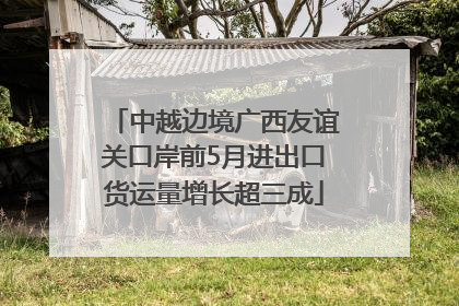 中越边境广西友谊关口岸前5月进出口货运量增长超三成