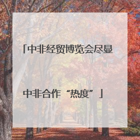 中非经贸博览会尽显中非合作“热度”