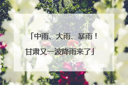 中雨、大雨、暴雨！甘肃又一波降雨来了