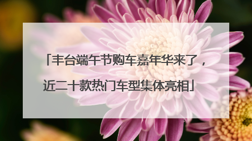 丰台端午节购车嘉年华来了，近二十款热门车型集体亮相
