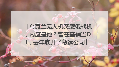 乌克兰无人机突袭俄战机，内应是他？曾在基辅当DJ，去年底开了货运公司