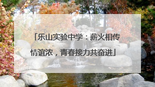 乐山实验中学：薪火相传情谊浓，青春接力共奋进