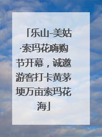 乐山-美姑·索玛花嗨购节开幕，诚邀游客打卡黄茅埂万亩索玛花海