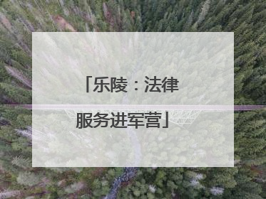 乐陵：法律服务进军营