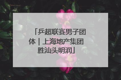 乒超联赛男子团体｜上海地产集团胜汕头明润