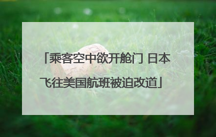 乘客空中欲开舱门 日本飞往美国航班被迫改道