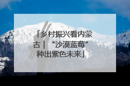 乡村振兴看内蒙古｜“沙漠蓝莓”种出紫色未来