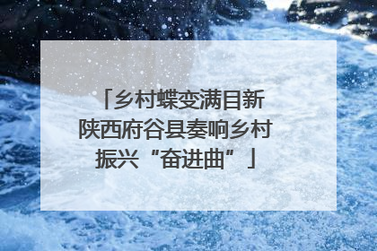 乡村蝶变满目新 陕西府谷县奏响乡村振兴“奋进曲”