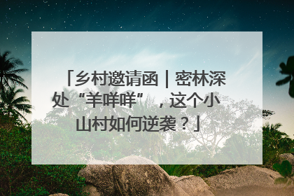 乡村邀请函｜密林深处“羊咩咩”，这个小山村如何逆袭？
