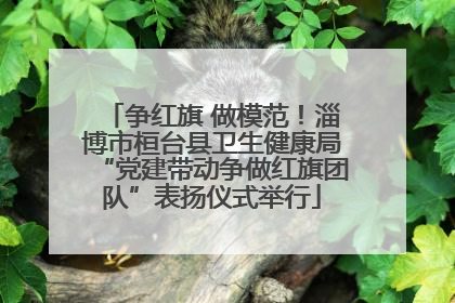 争红旗 做模范！淄博市桓台县卫生健康局“党建带动争做红旗团队”表扬仪式举行